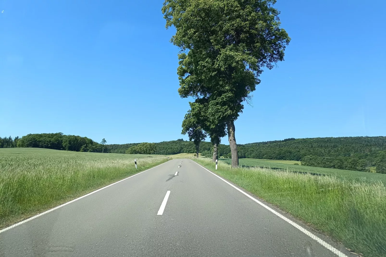 Ferienwohnung zum Märchenwald-Gebieden zomer 5km