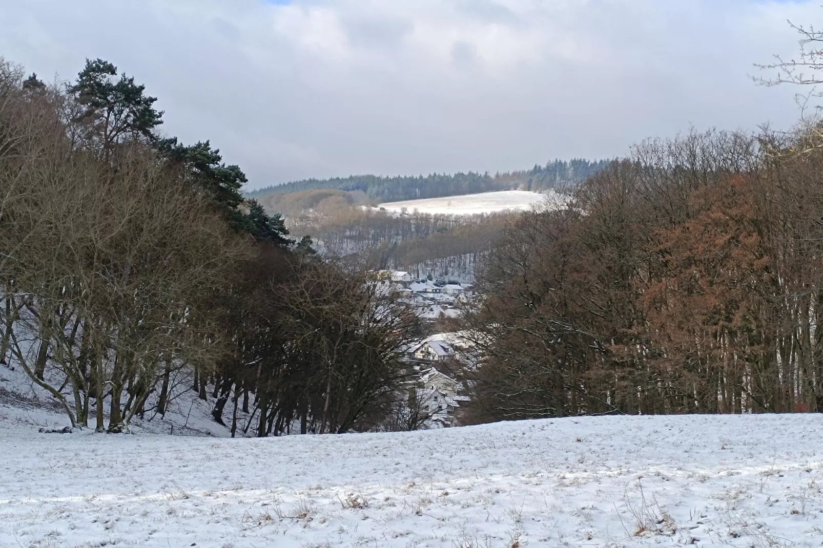 Ferienwohnung zum Märchenwald-Gebied winter 1km