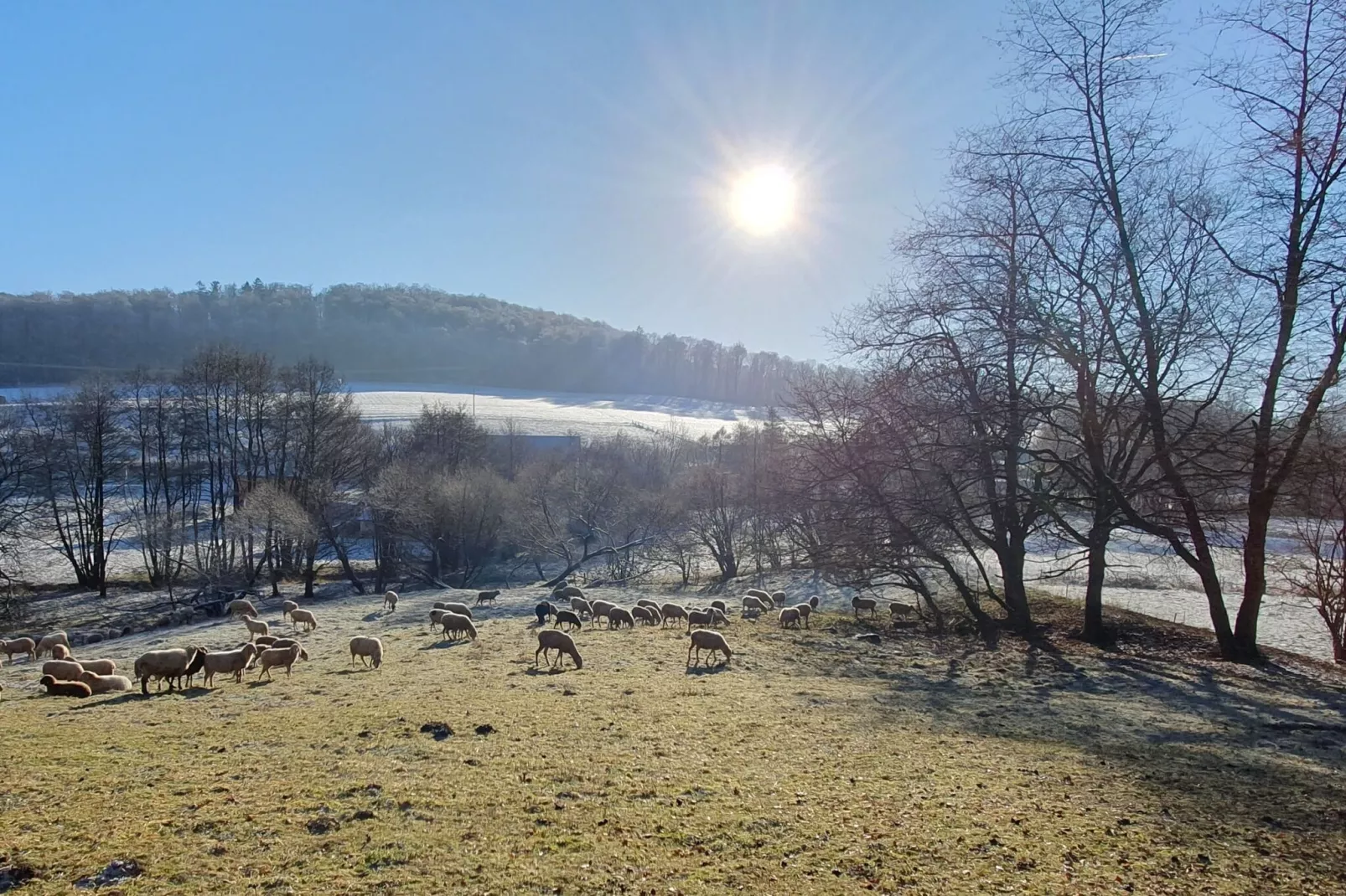 Ferienwohnung zum Märchenwald-Gebied winter 1km