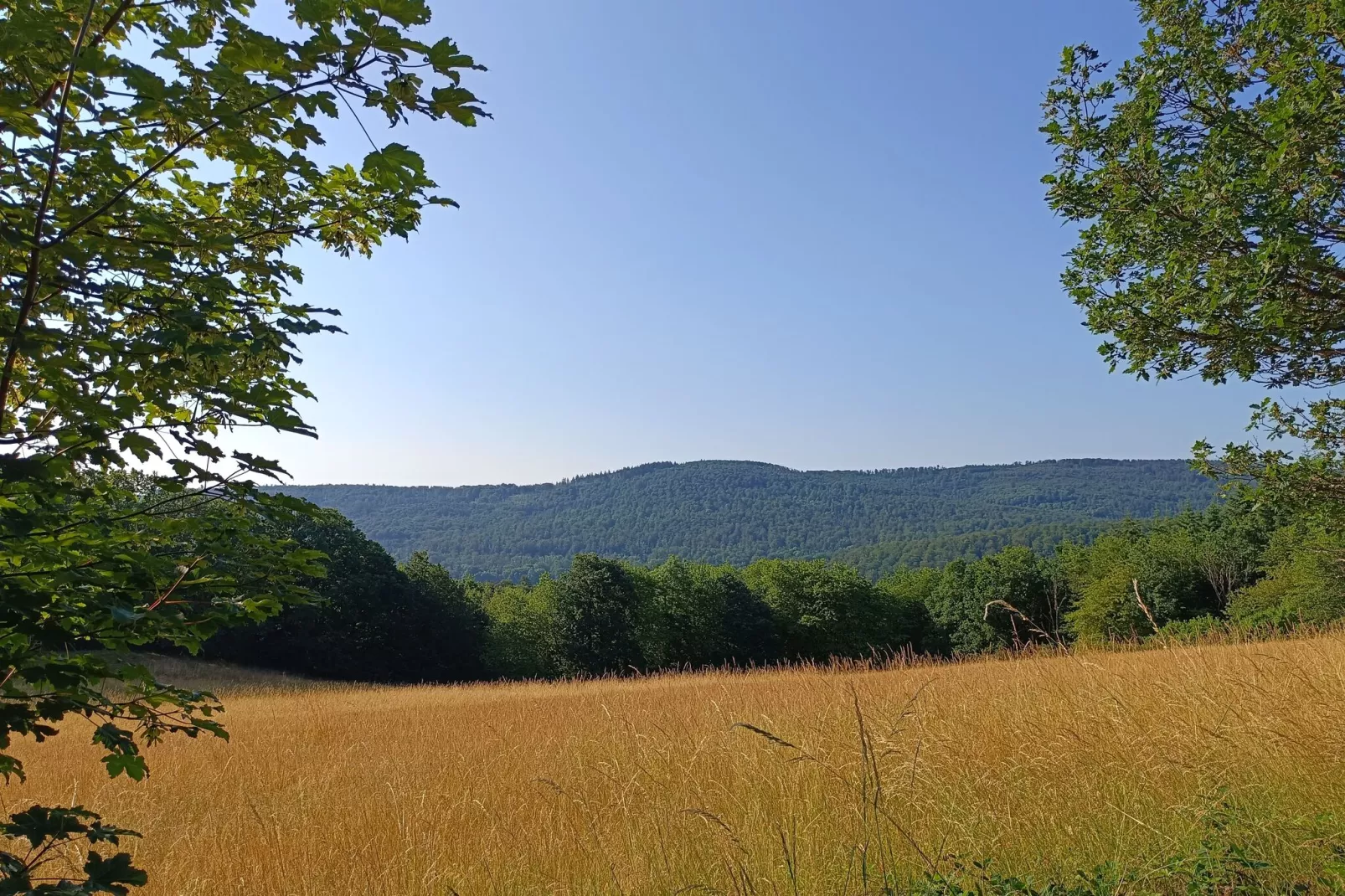 Ferienwohnung zum Märchenwald-Gebieden zomer 20km