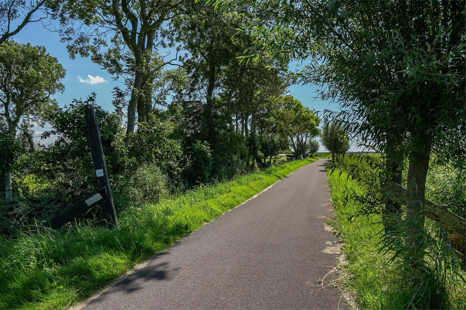 De Pauwenhof-Gebieden zomer 1km