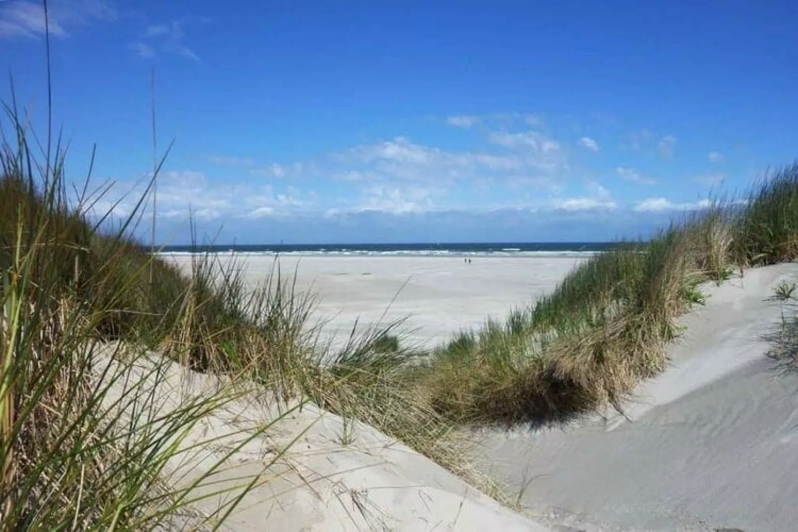 De Pauwenhof-Gebieden zomer 20km