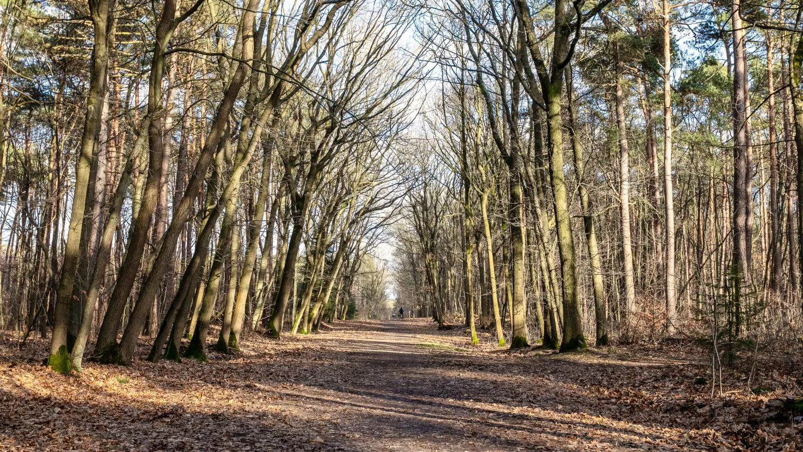 Ons Huis-Gebieden zomer 5km