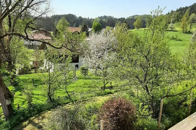 Ferienhaus Piller 3 Personen-Uitzicht zomer