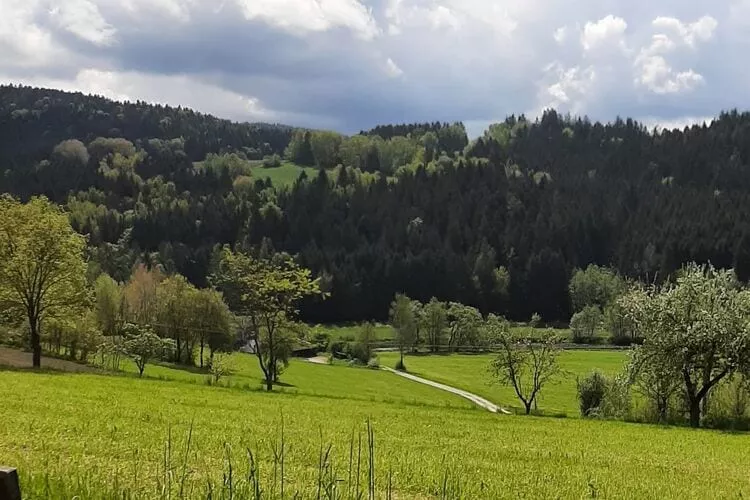 Ferienhaus Piller 4 Personen-Uitzicht zomer