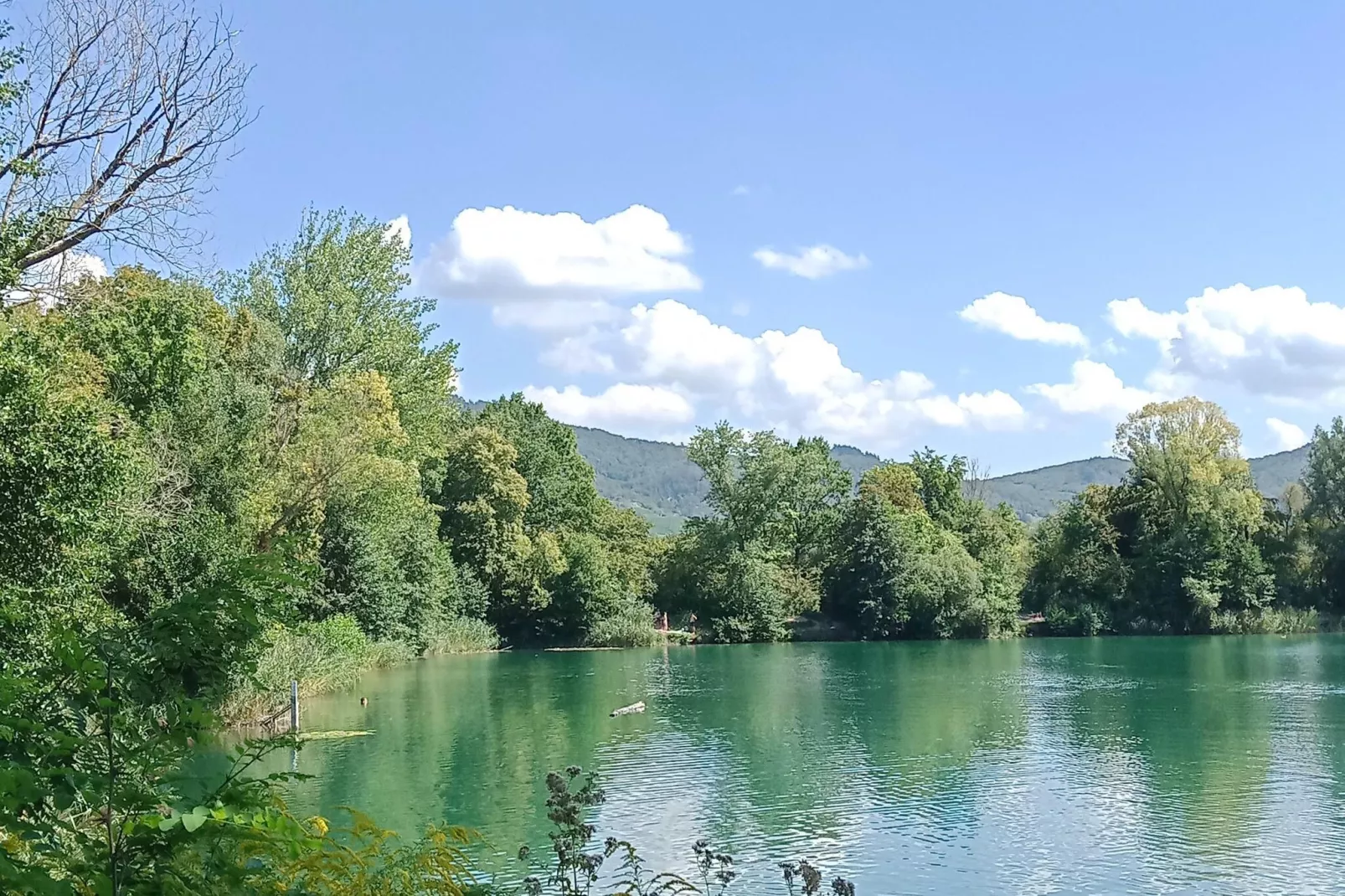 Ferienhaus mit eigener Bar am Bach in Saint Quirin-Gebieden zomer 20km