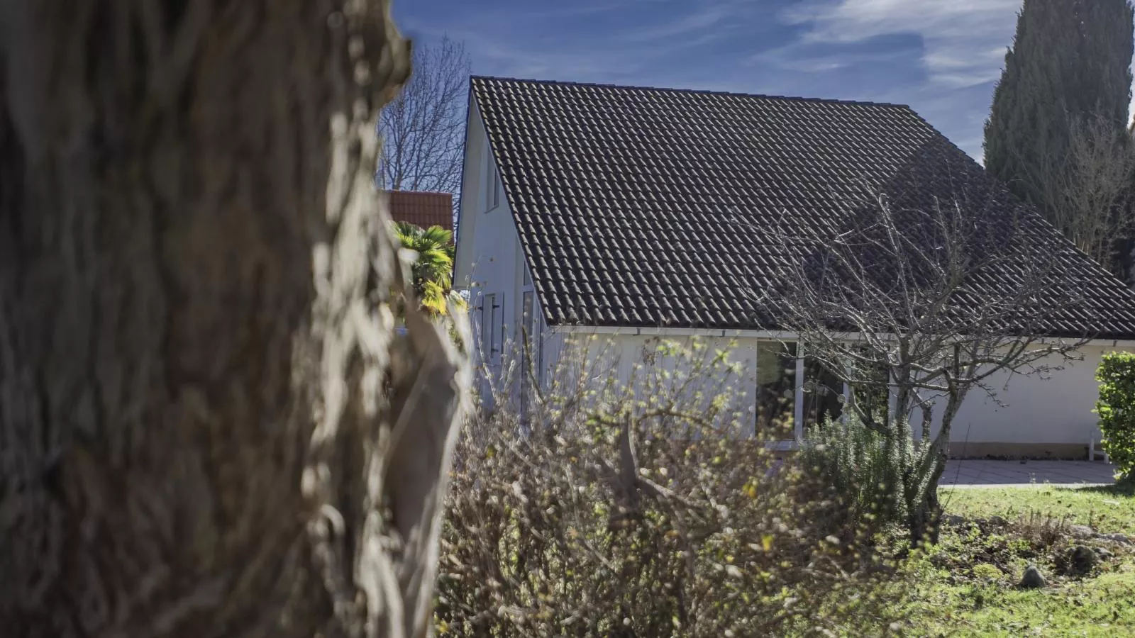 Villa Espace 50-Tuinen zomer