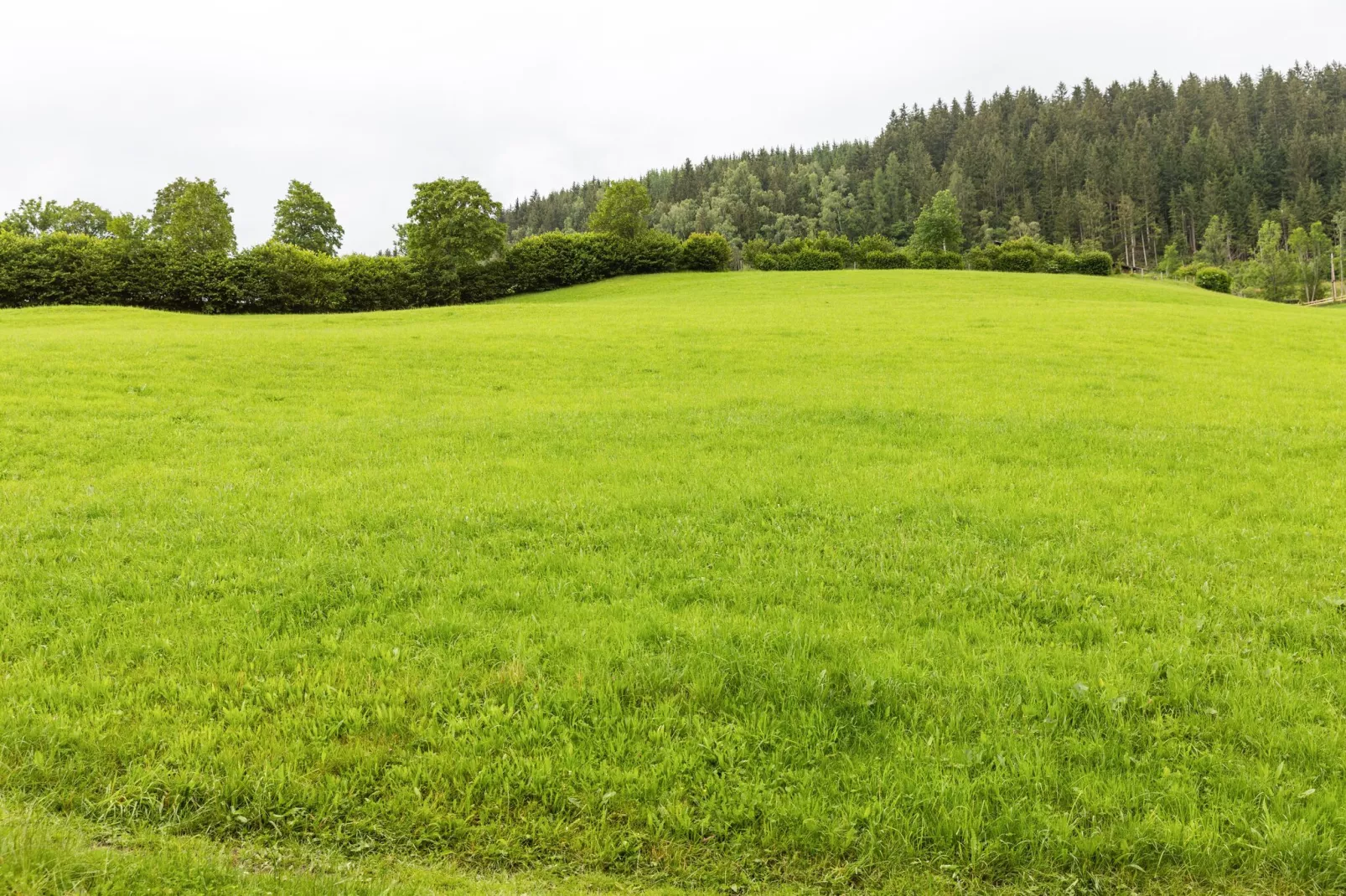 Schlossblick-Gebieden zomer 5km