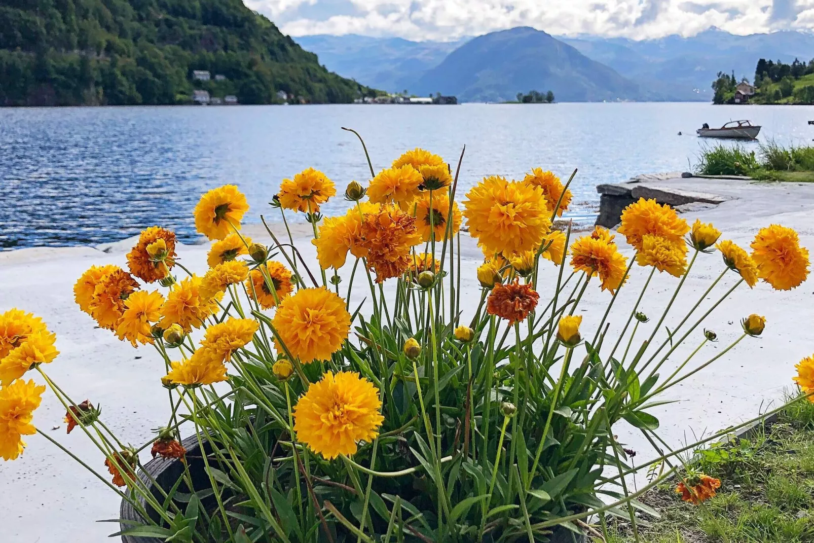 6 persoons vakantie huis in øystese-Waterzicht