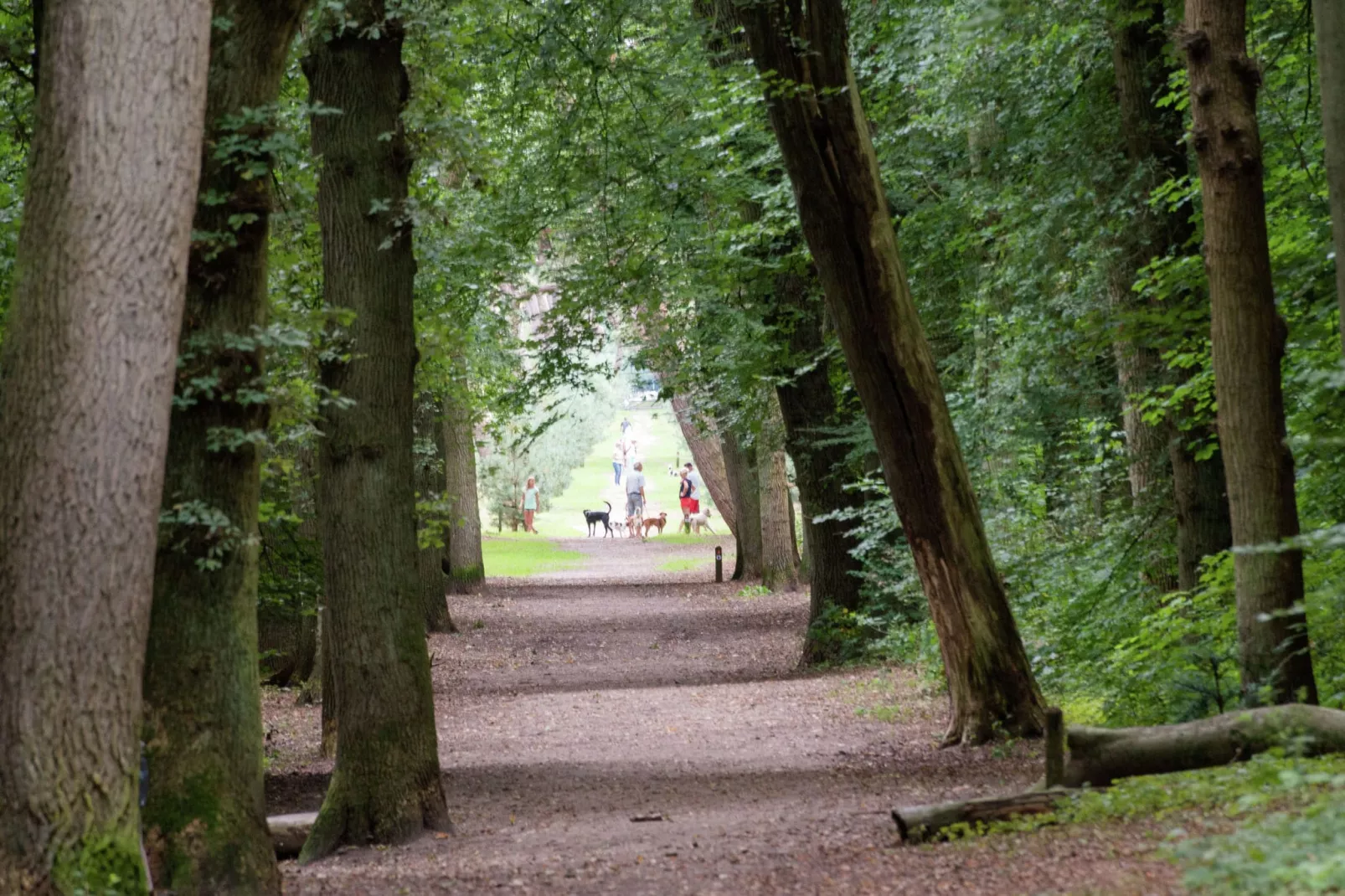 Hof van Craeck 6 pers-Gebieden zomer 5km