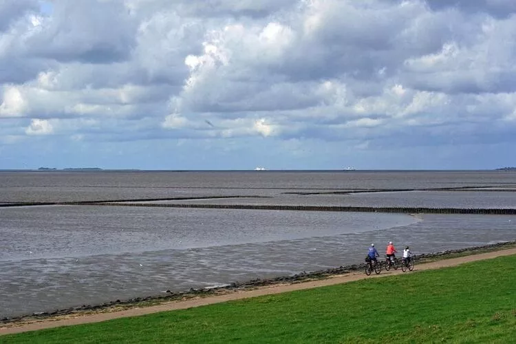 Niebüll-Ferienhaus Seebrise-Gebieden zomer 5km