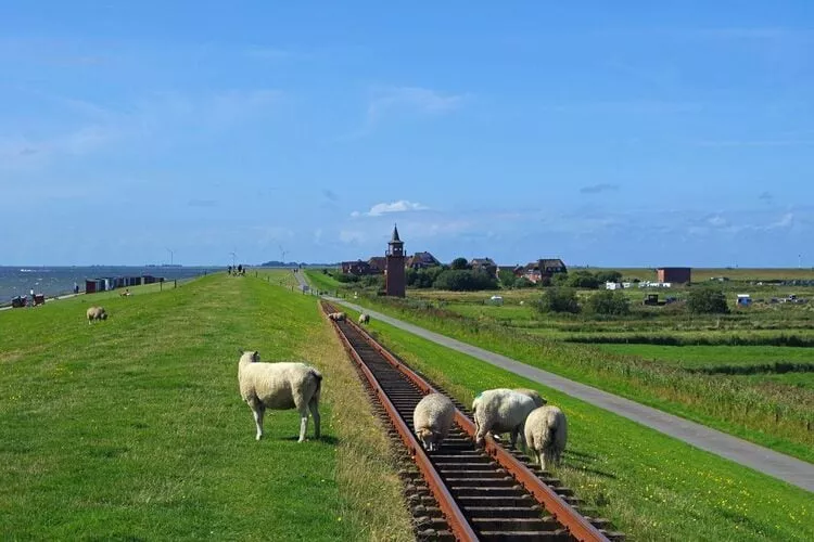 Niebüll-Ferienhaus Seebrise-Gebieden zomer 5km