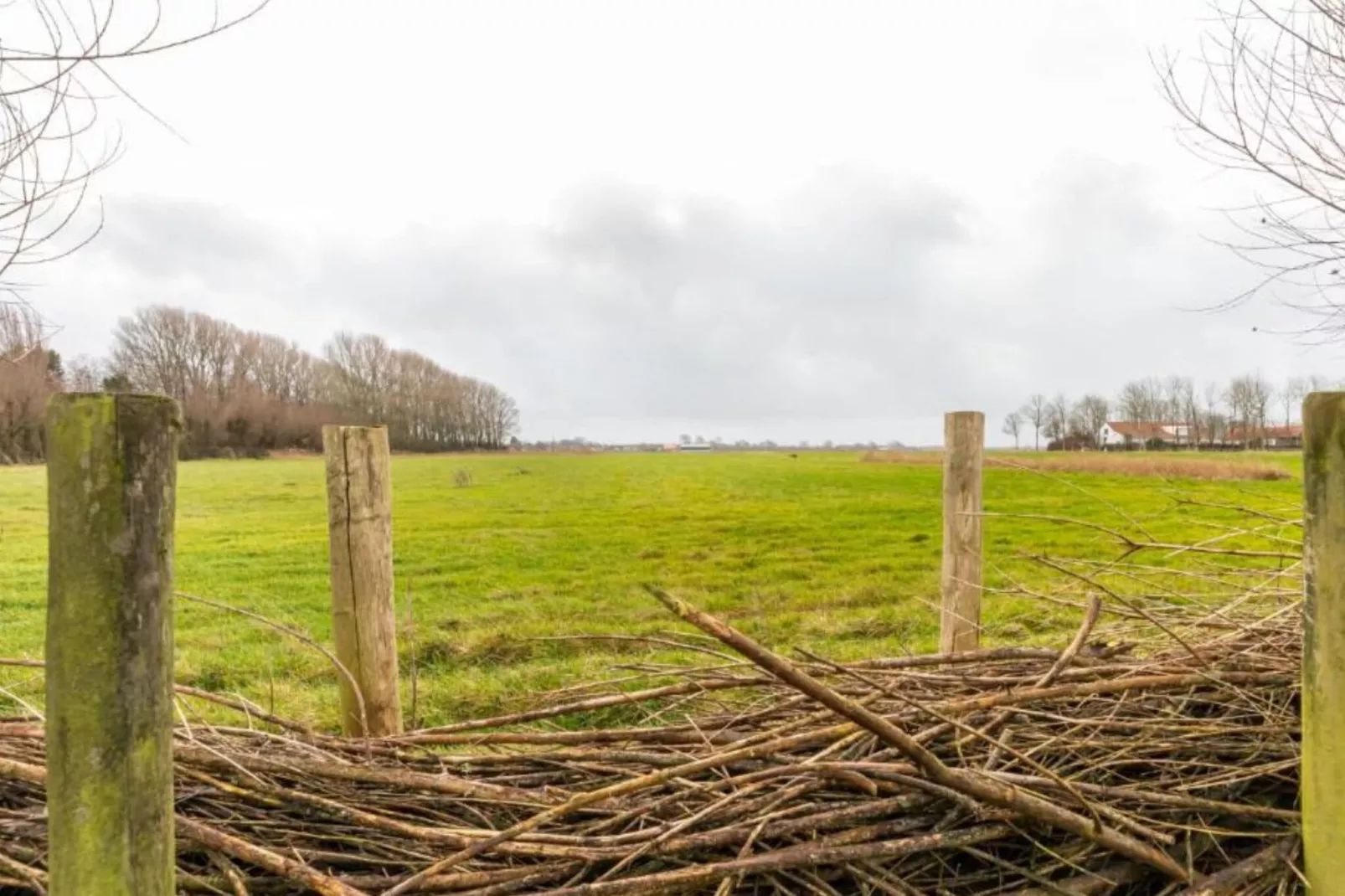 Grijpskerke 'De kleine Pionier'-Uitzicht winter