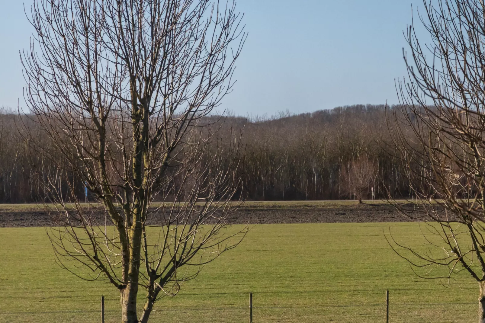 Vakantiehuis - Koudekerkseweg 25a  Biggekerke 'In de Zeeuwse Schuur'-Uitzicht zomer