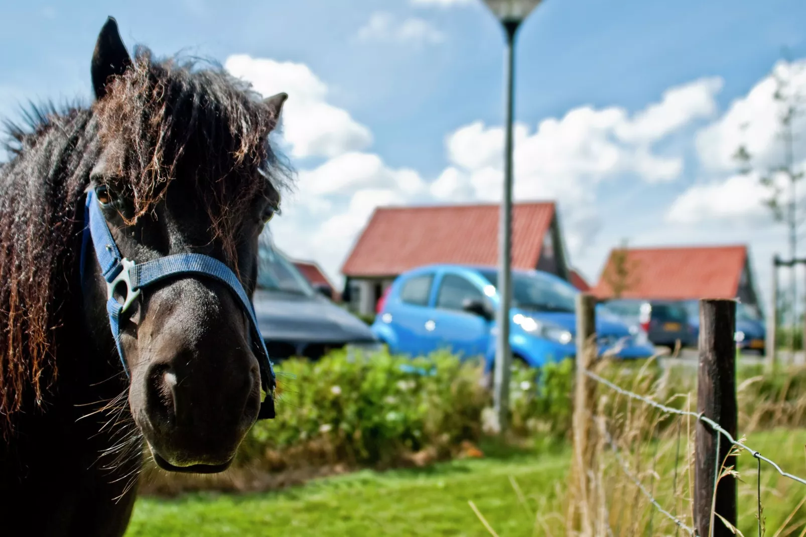 Recreatiepark de Stelhoeve 3-Tuinen zomer