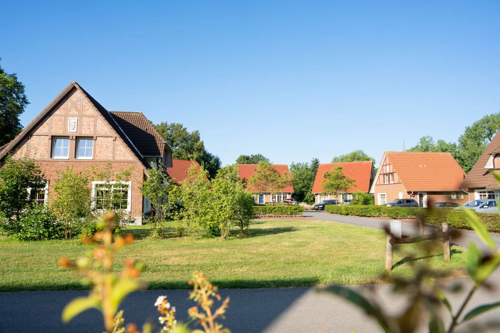 Ferienresort Bad Bentheim 26-Gebieden zomer 1km