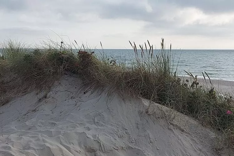 Niebüll-Ferienhaus Seebrise-Gebieden zomer 5km