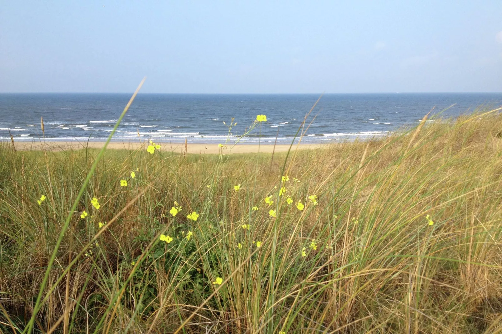 Huize Glory Bergkristal-Gebieden zomer 1km