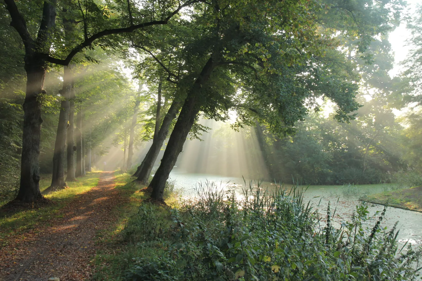 Huize Glory Bergkristal-Gebieden zomer 5km