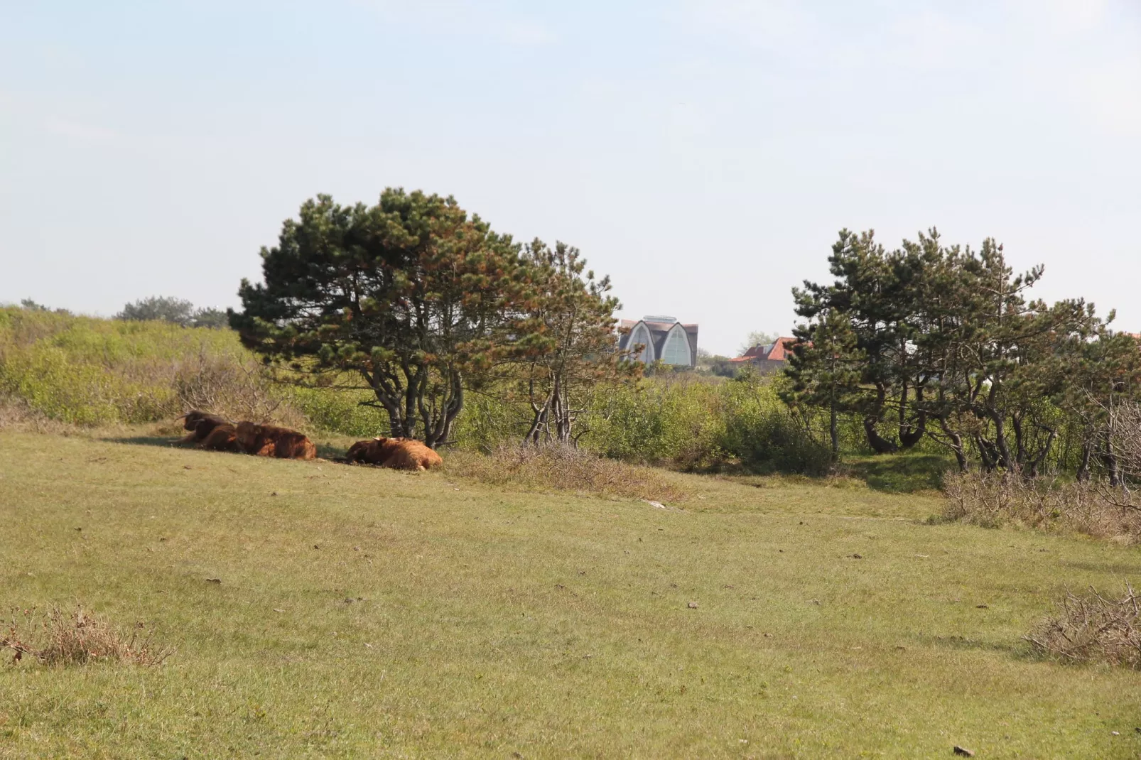 Huize Glory Tijgeroog-Gebieden zomer 1km