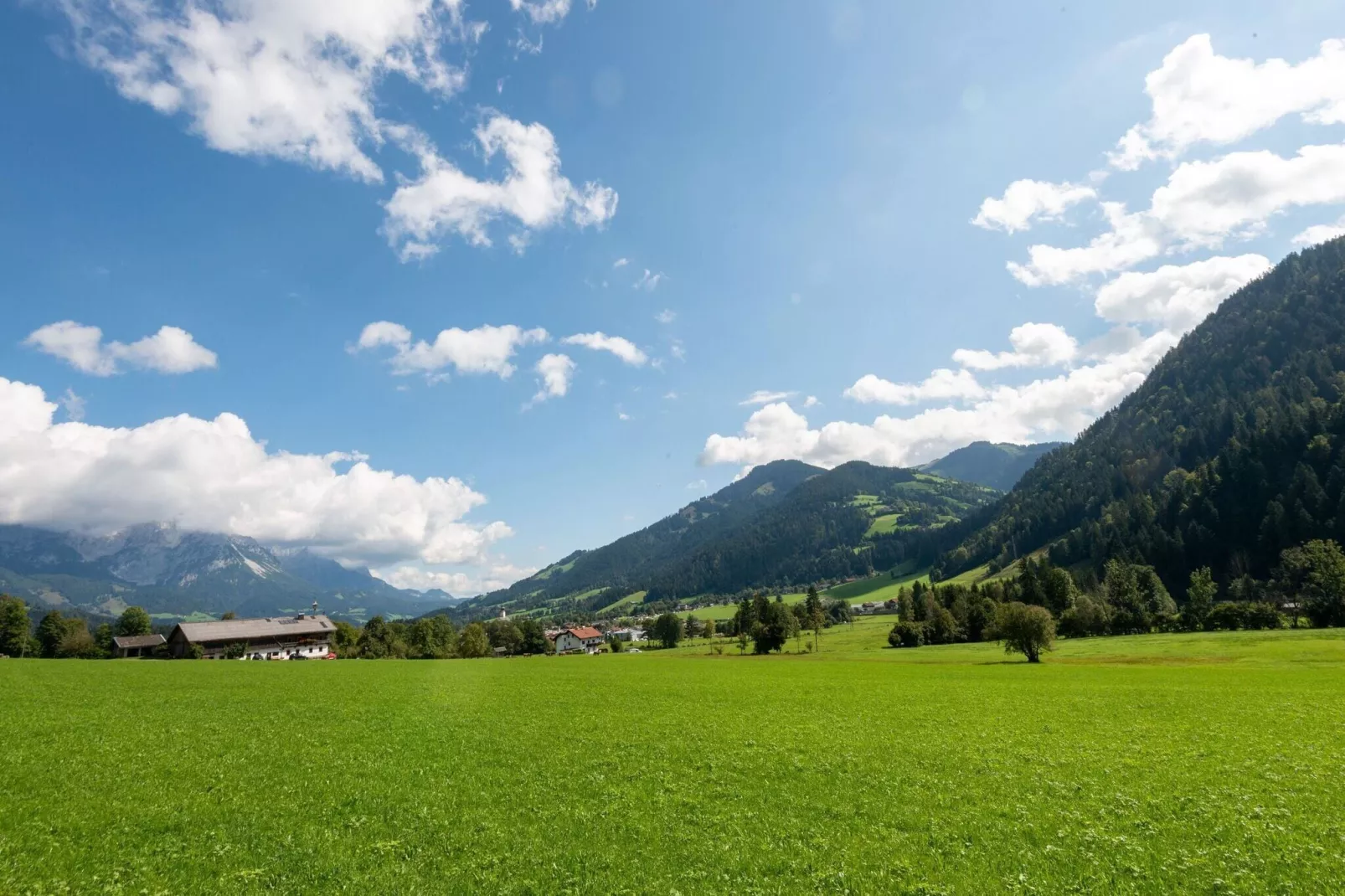 Horngacher-Gebieden zomer 5km