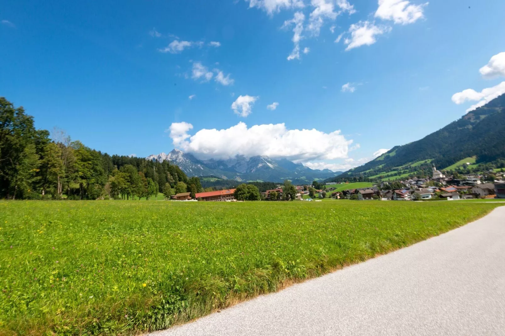 Horngacher-Gebieden zomer 5km