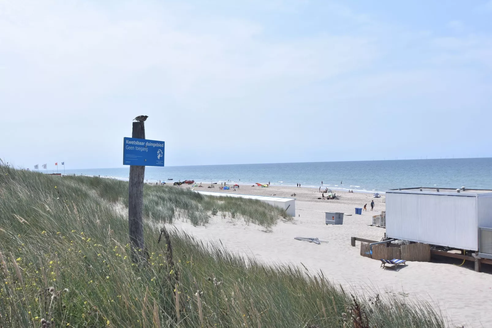 Huize Glory Robijn-Gebieden zomer 5km