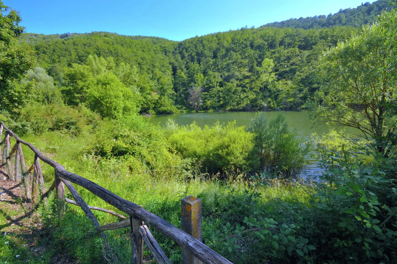 Liscino-Gebieden zomer 1km