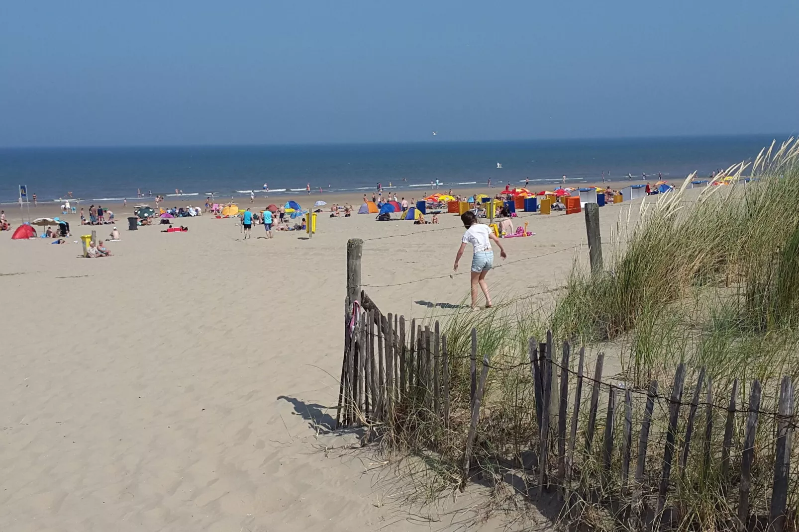 Noordzee-Gebieden zomer 5km