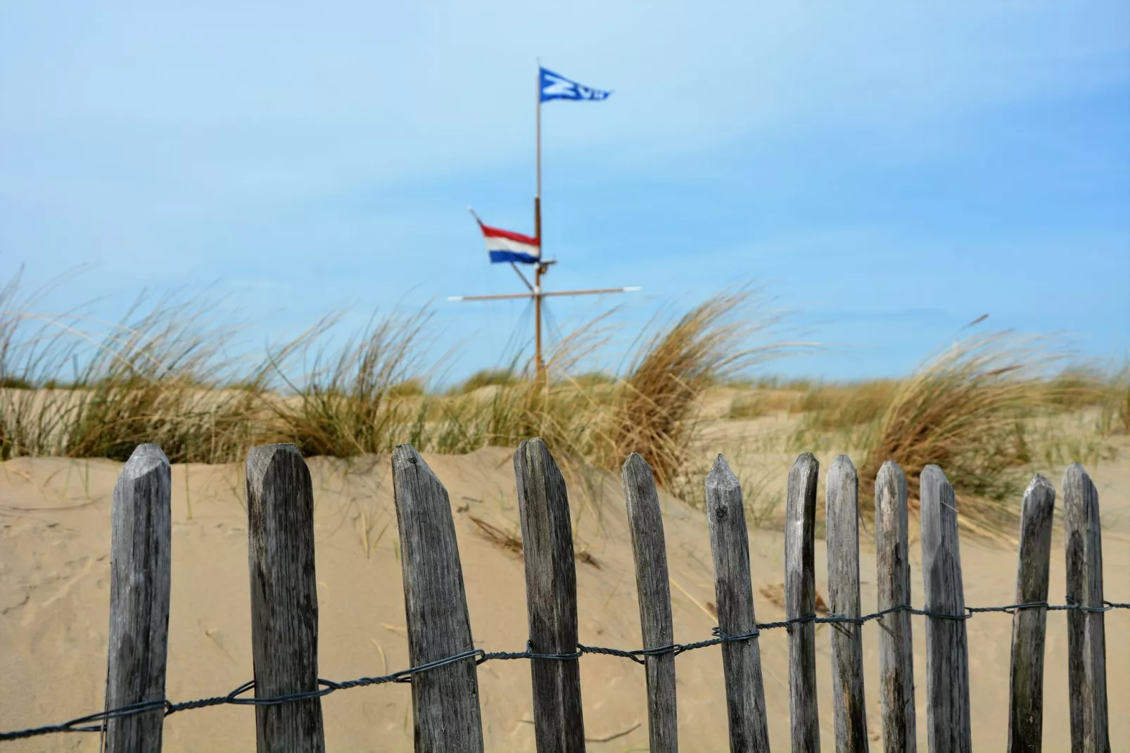 Noordzee-Gebieden zomer 5km