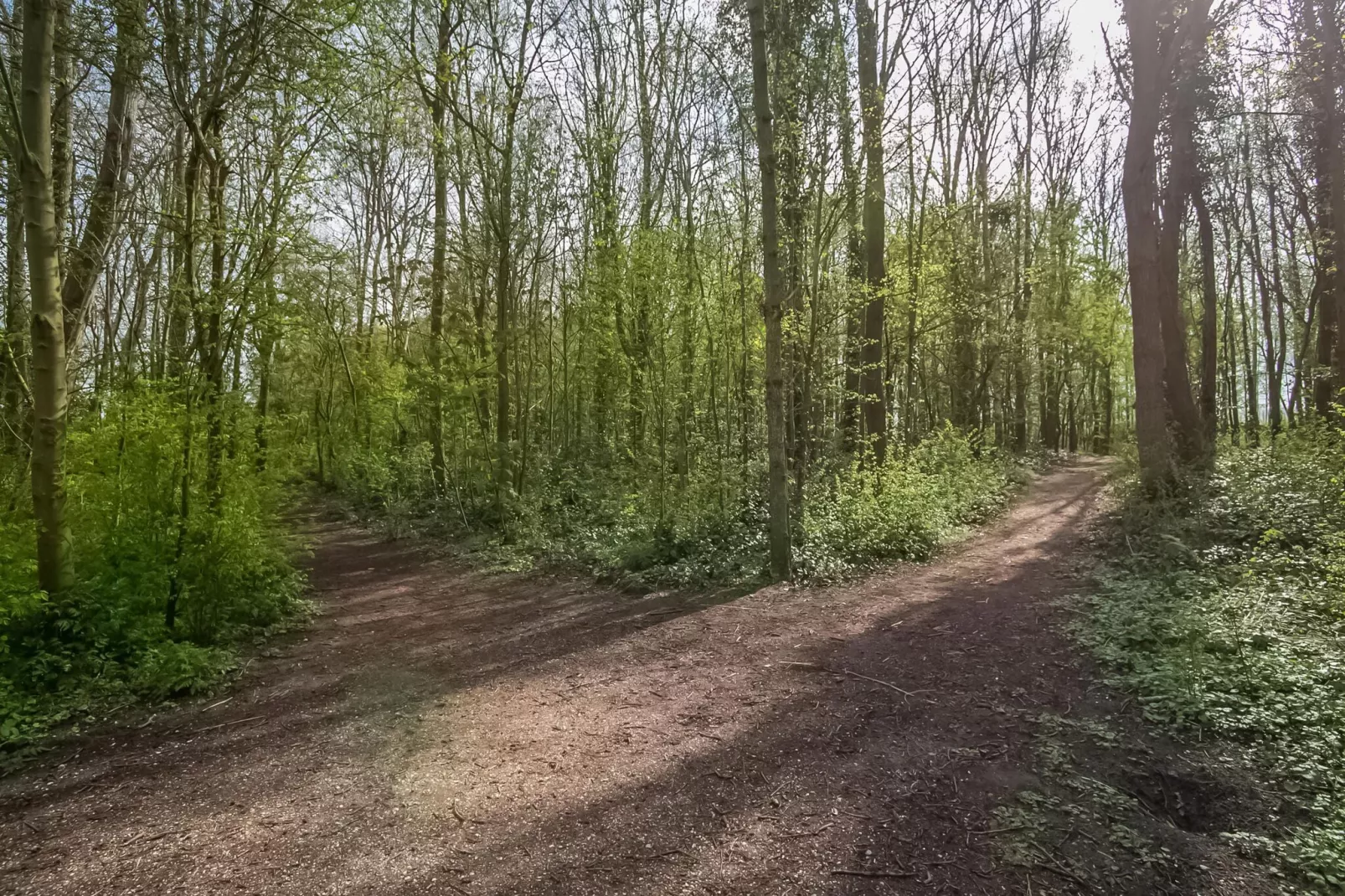 't Vogelnestje-Gebieden zomer 1km