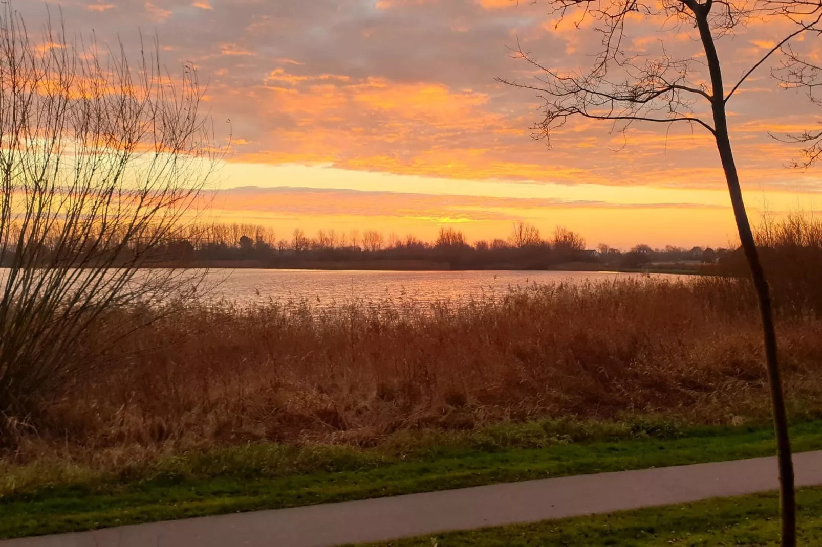 Calm Breeze-Gebieden zomer 1km