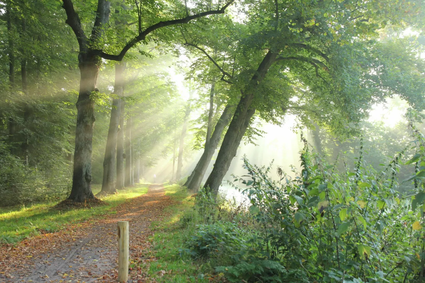 Het Roefje-Gebieden zomer 1km