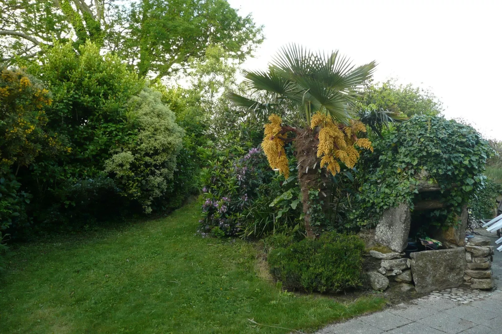 Natursteinhaus Plouguerneau-Tuinen zomer