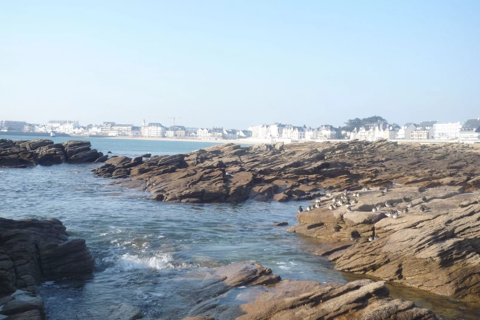 Maison de vacances Saint-Pierre-Quiberon-Gebieden zomer 5km