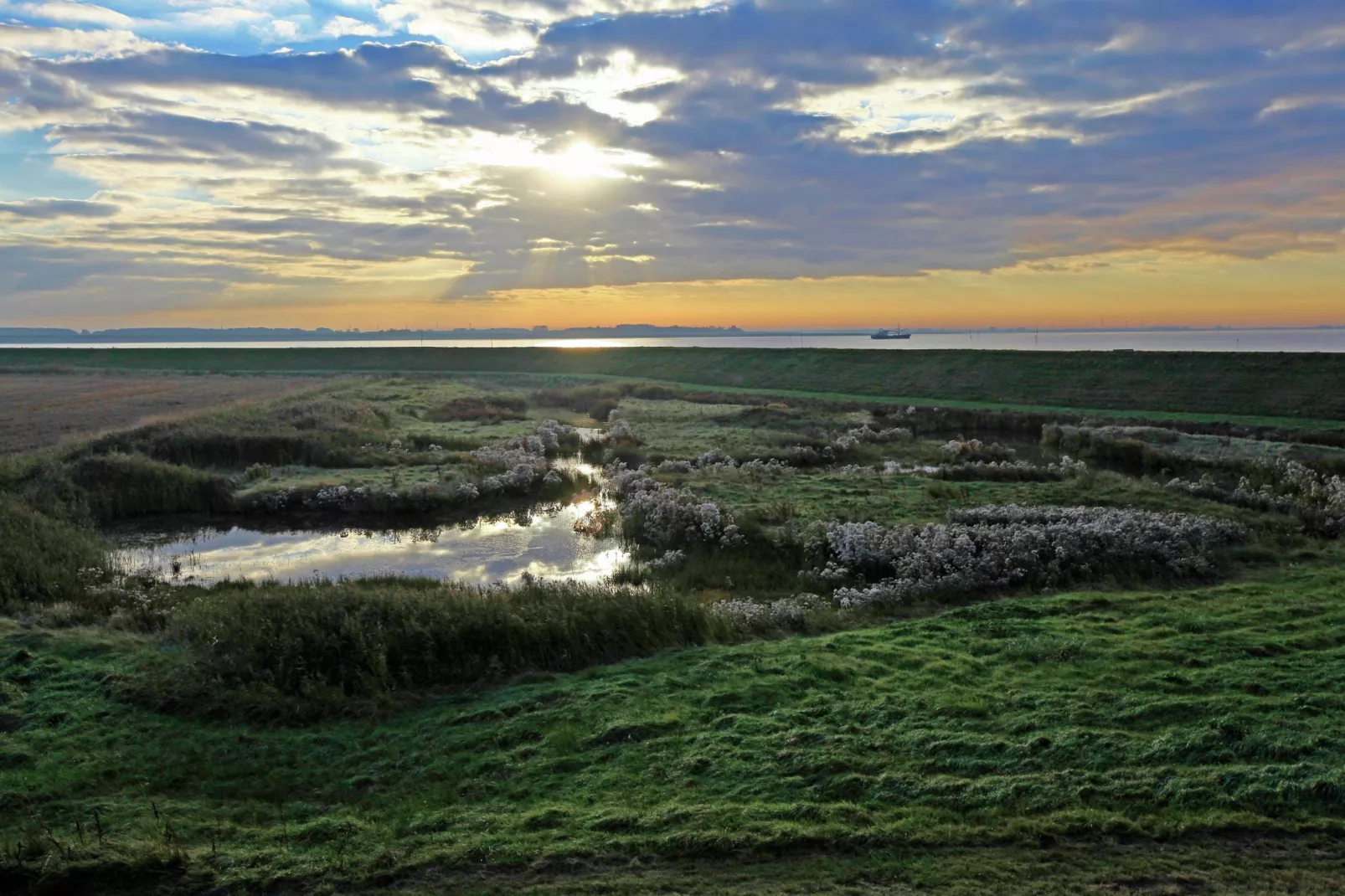 Water Resort Oosterschelde 62-Gebieden zomer 1km