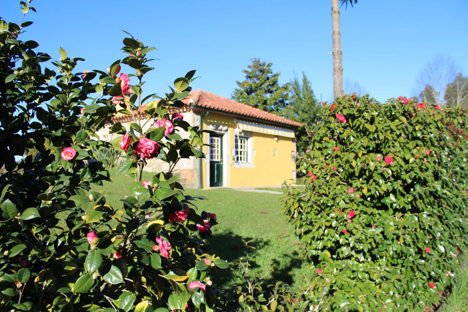 Casa do Pelourinho-Tuinen zomer