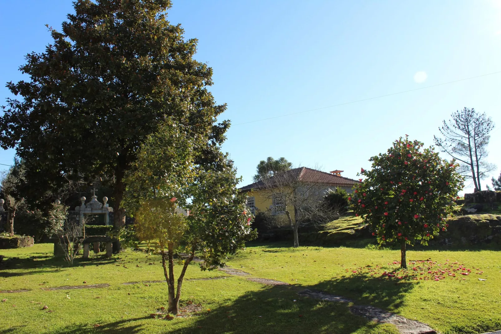 Casa do Pelourinho-Tuinen zomer