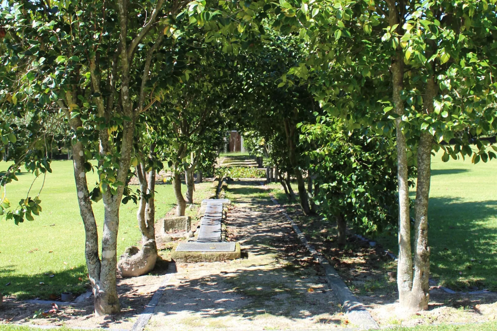 Casa do Pelourinho-Gebieden zomer 1km