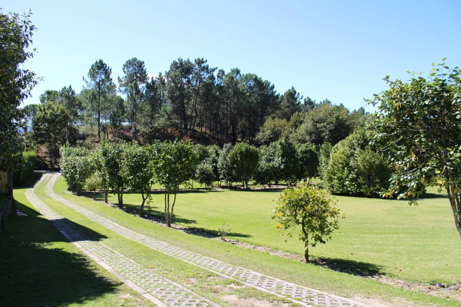 Casa da Adega-Gebieden zomer 1km