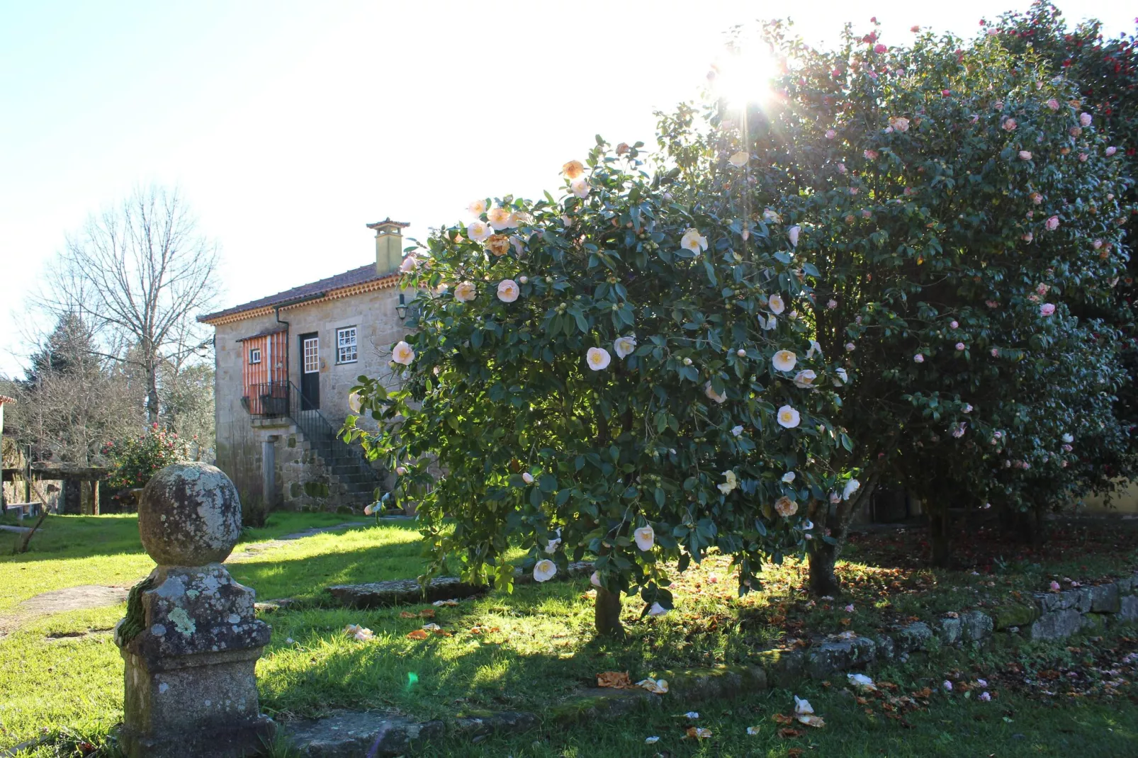 Casa da Adega-Tuinen zomer