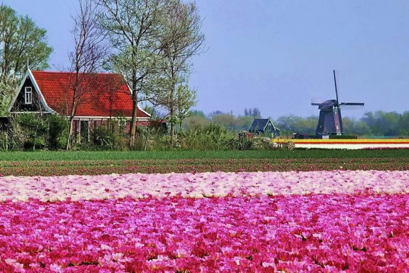 De Vossehoeck 1-Gebieden zomer 20km