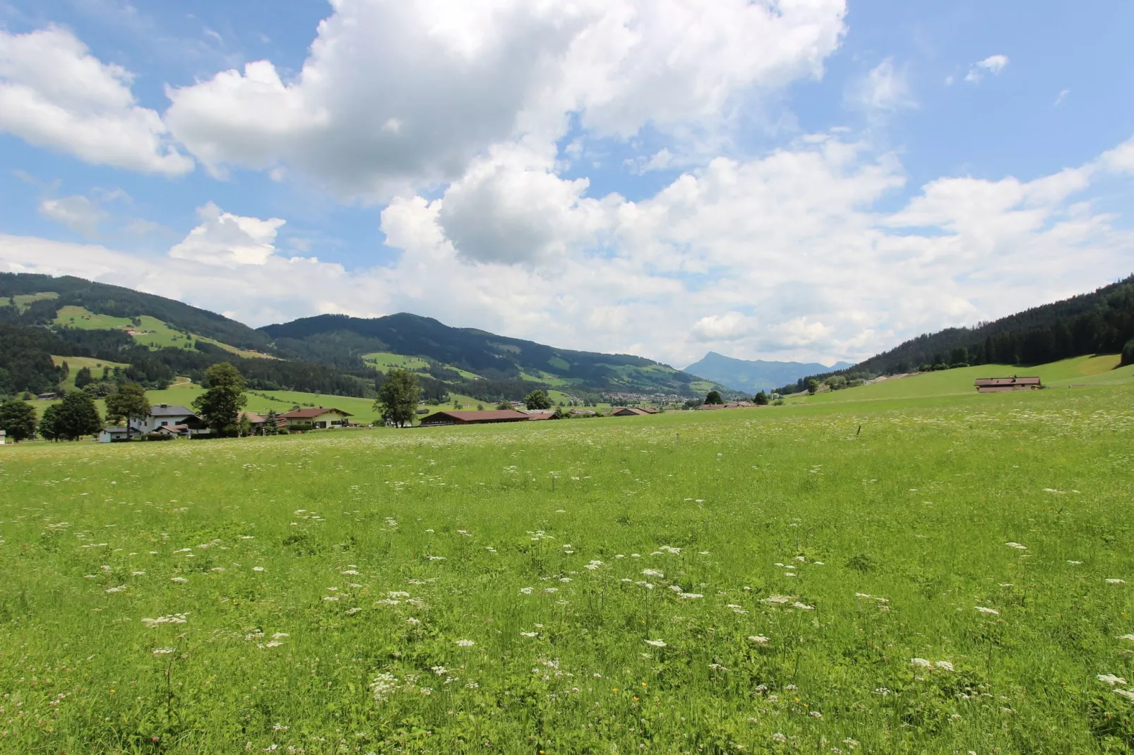 Apartment Westendorf-Gebieden zomer 20km