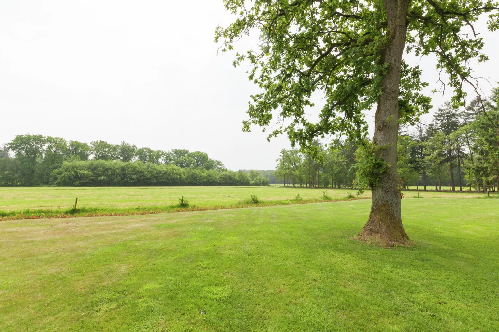 Landgoed Pijnenburg De Beuk-Uitzicht zomer