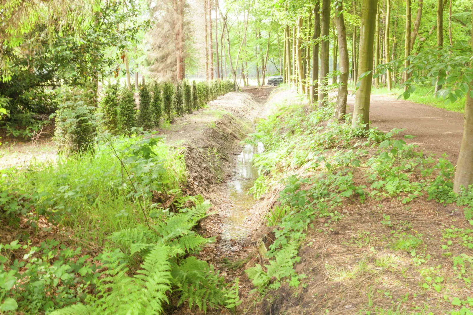 Landgoed Pijnenburg De Beuk-Gebieden zomer 1km