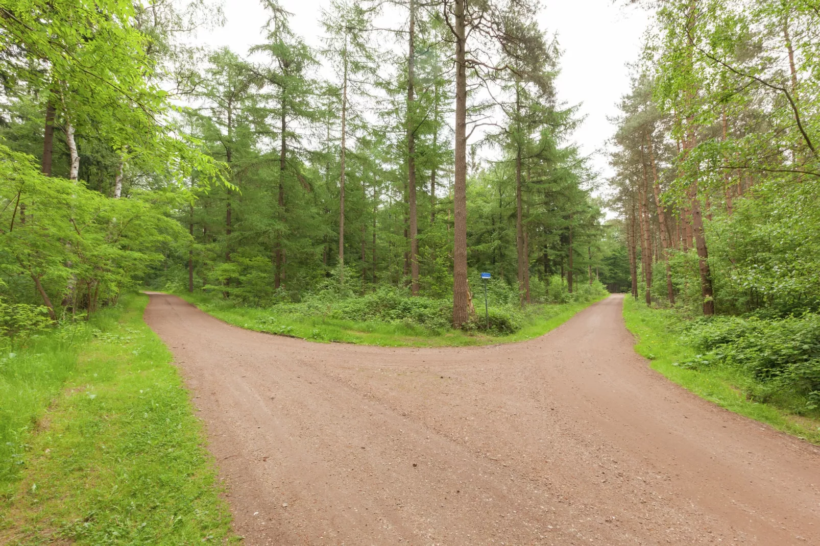 Landgoed Pijnenburg De Beuk-Gebieden zomer 1km