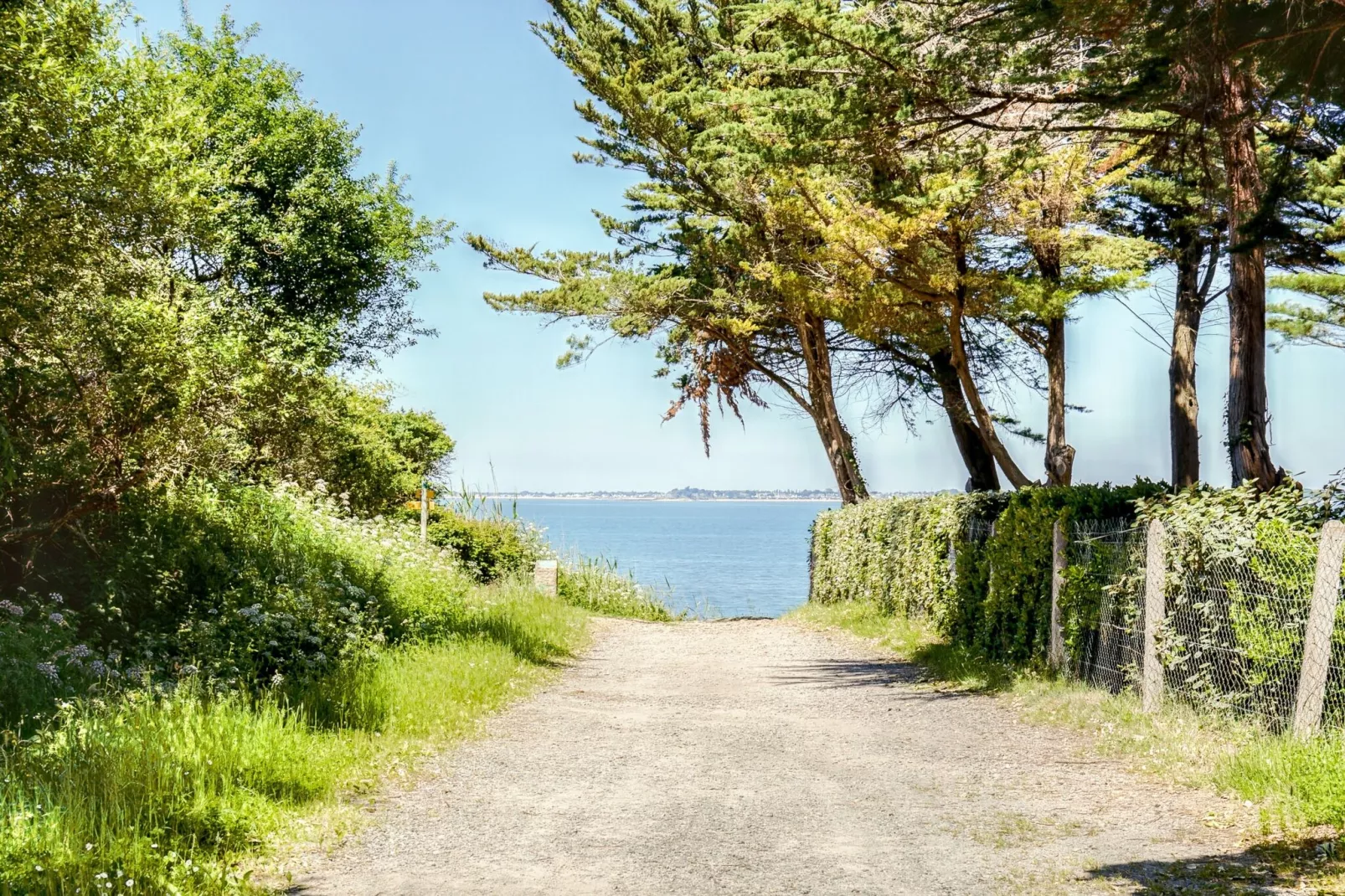 Plein Sud-Gebieden zomer 1km