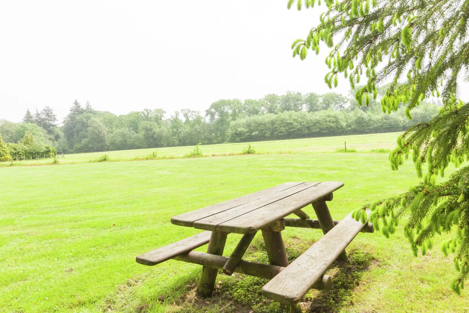 Landgoed Pijnenburg De Eik-Tuinen zomer