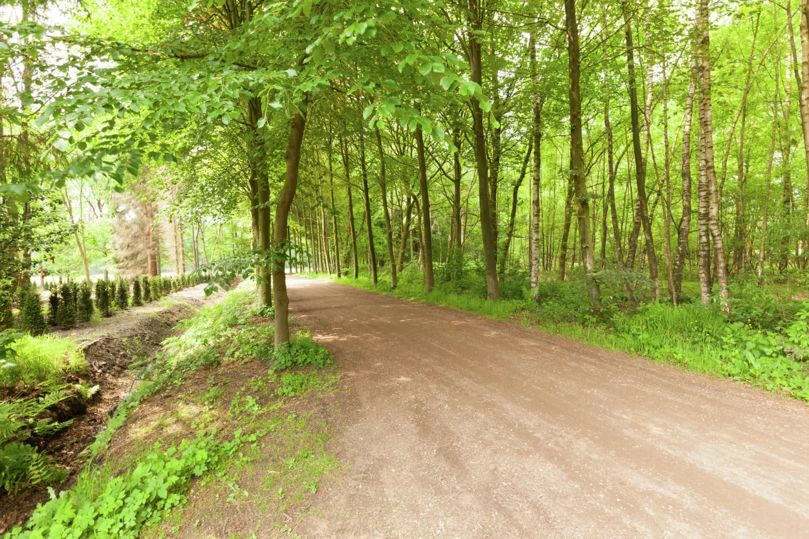 Landgoed Pijnenburg De Eik-Gebieden zomer 1km