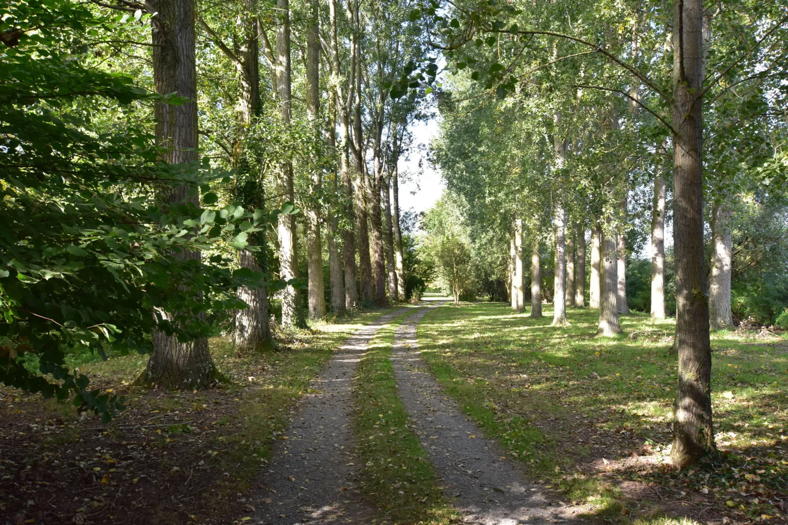 Domaine Les Ziettes-Tuinen zomer